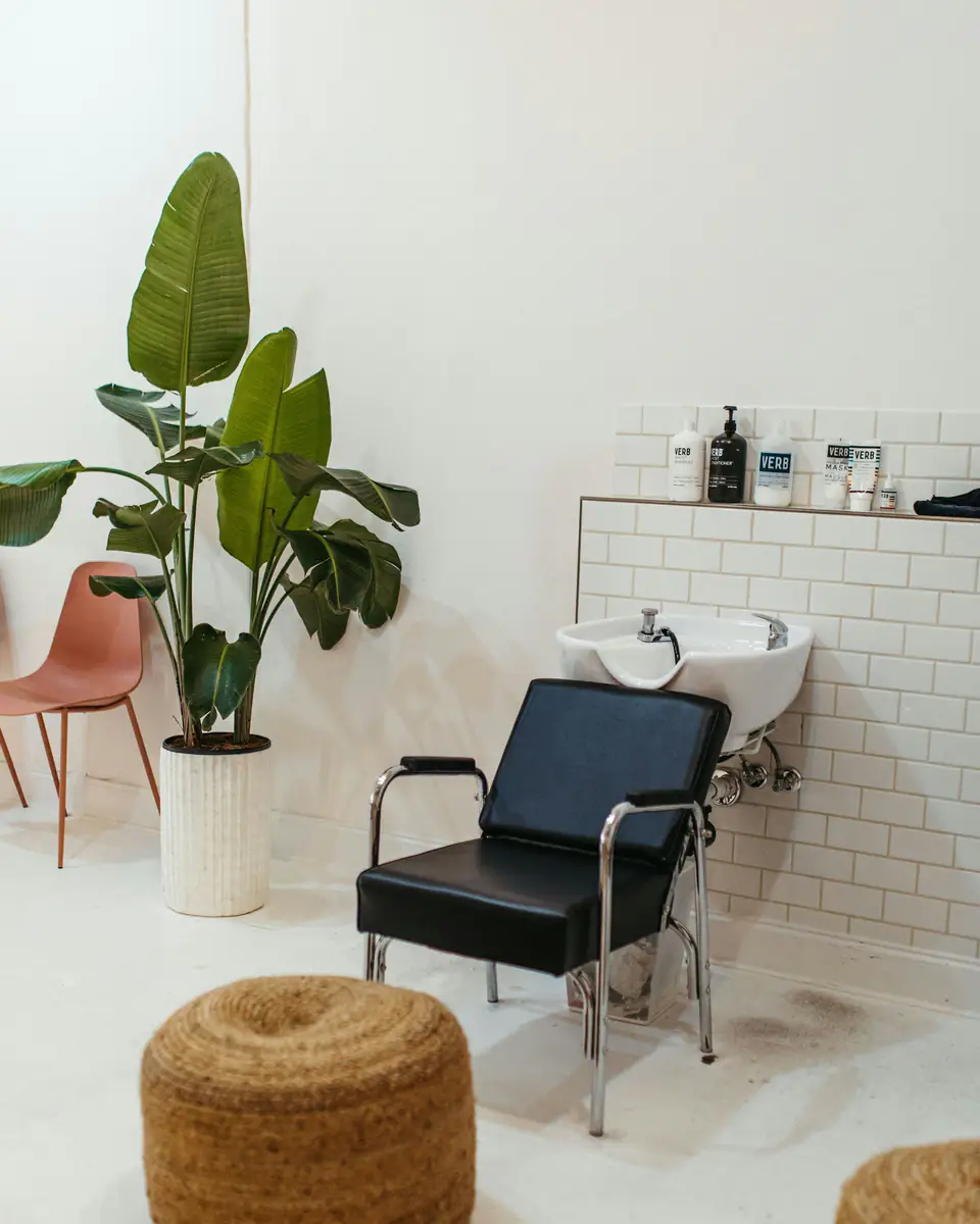 El lavatorio del estudio, con una planta grande y un puf de yute