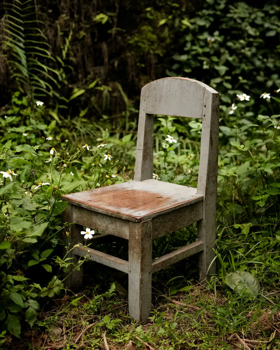 Silla de madera despintada y gastada, olvidada en el jardín